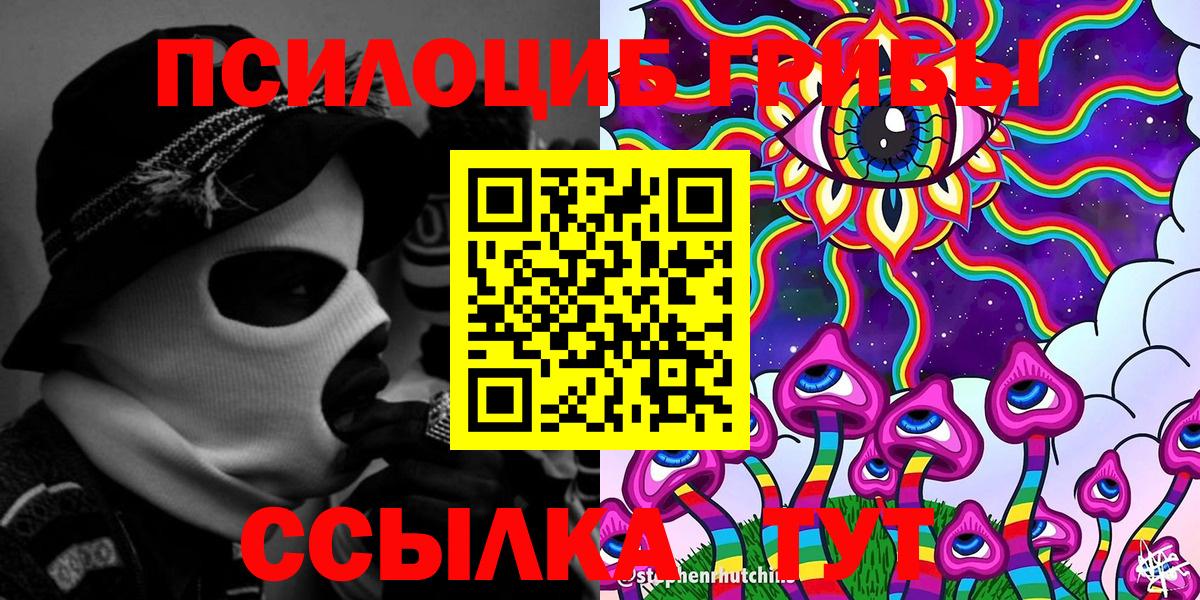 Псилоцибиновые грибы Psilocybe Шарыпово